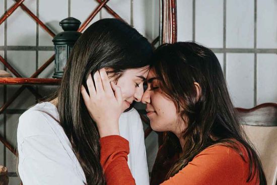 Lesbian Sex 101